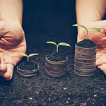 Sustainable direct selling business tips for success