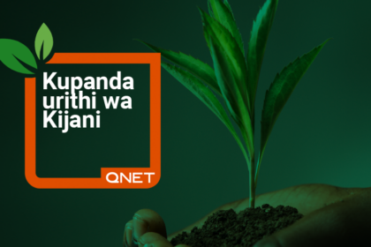 Planting Green Legacy QNET EcoMatcher SW