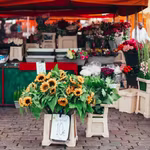 Photo de fleurs