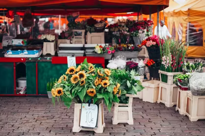 Photo de fleurs