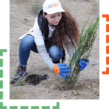 plant 663dd8985d6c0