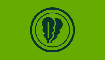 spinach 65e172a858741 1