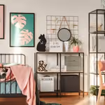 Clean up your room with Bio Silver