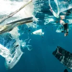Have You Been Drinking Micro Plastics?