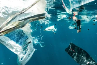 Have You Been Drinking Micro Plastics?