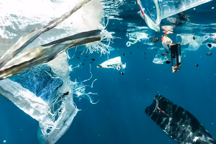 Have You Been Drinking Micro Plastics?