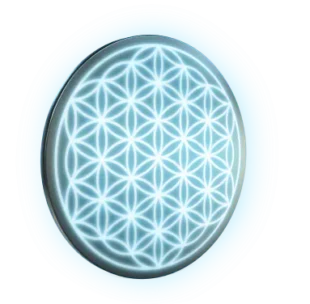 Amezcua flower of life 310x304 1 1 1