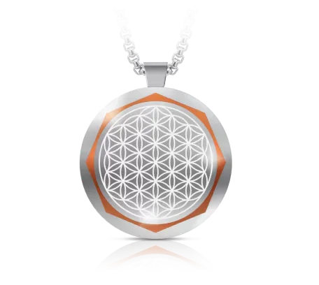 group 10679 66cc08c2c00b6 e1758791032128